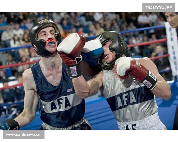 王先景高扫腿制胜瞬间集锦 揭秘搏击KO经典时刻